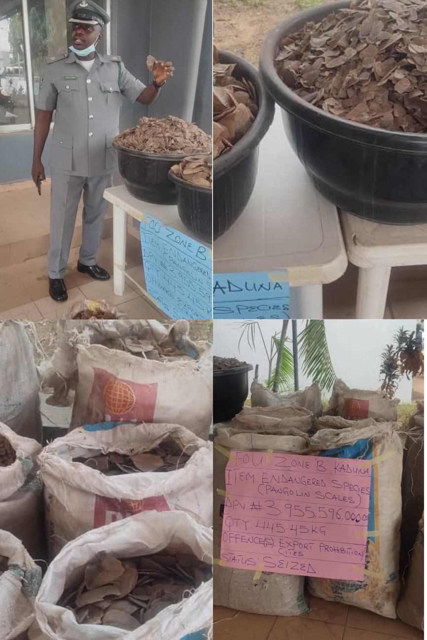 Customs FOU Zone ‘B’ intercepts Prohibited Items Worth 3bn