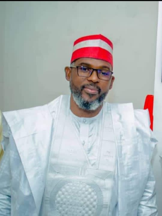 No Faction In Kaduna NNPP, Says Party Chairman