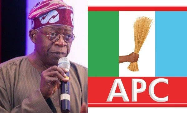 Ondo APC Member Writes President Bola Tinubu Over APC Primary Election&nbsp;Results